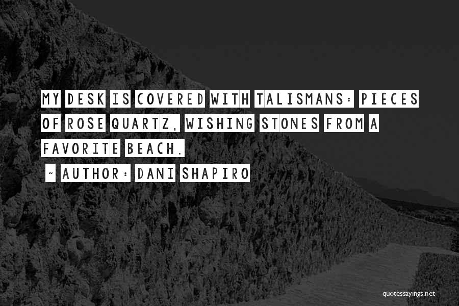 Beach Stones Quotes By Dani Shapiro