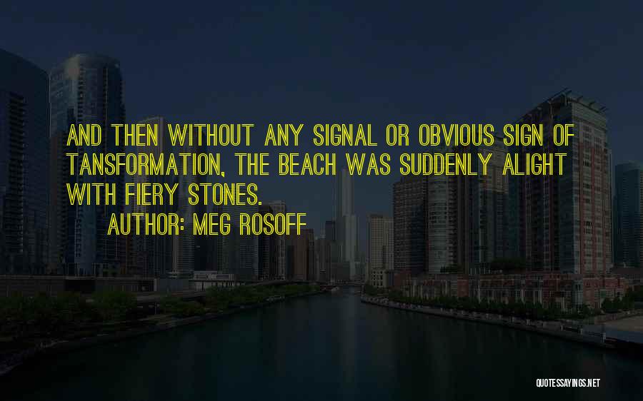 Beach Stones Quotes By Meg Rosoff