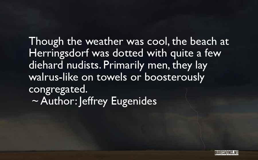 Beach Towels Quotes By Jeffrey Eugenides