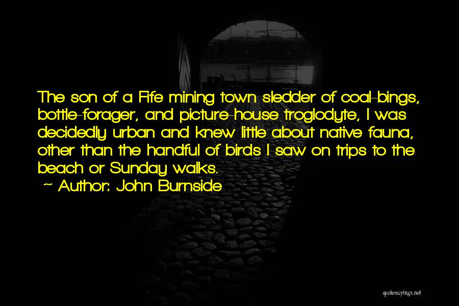 Beach Walks Quotes By John Burnside