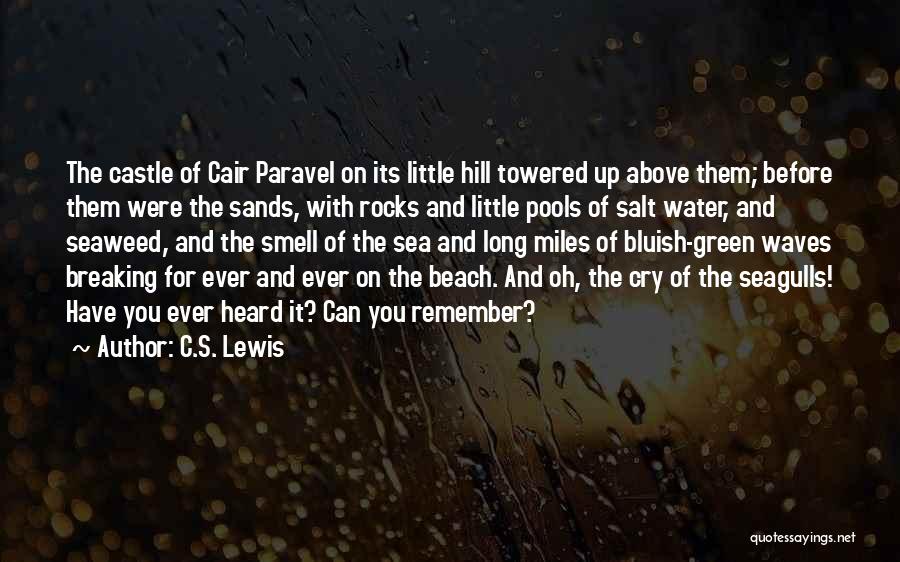 Beach Waves Quotes By C.S. Lewis