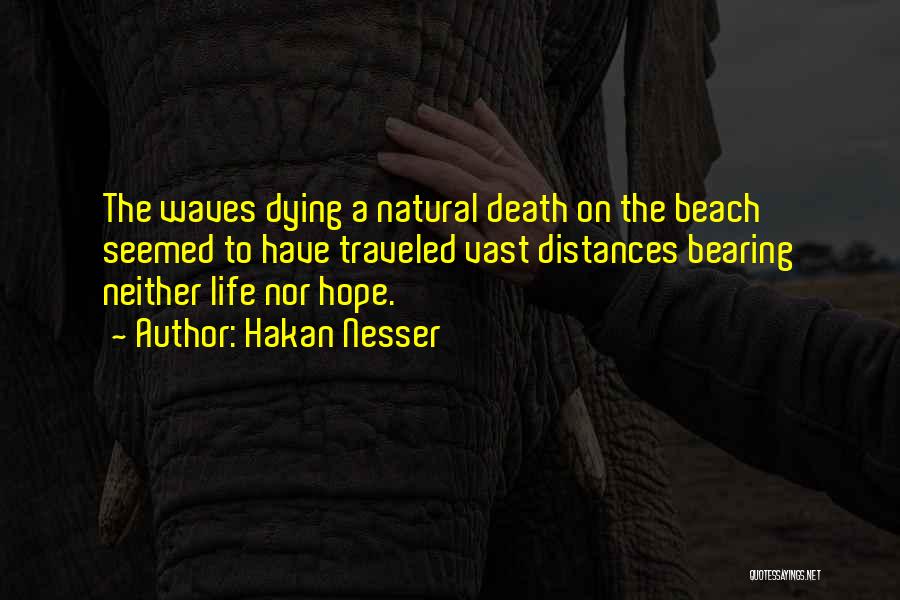 Beach Waves Quotes By Hakan Nesser