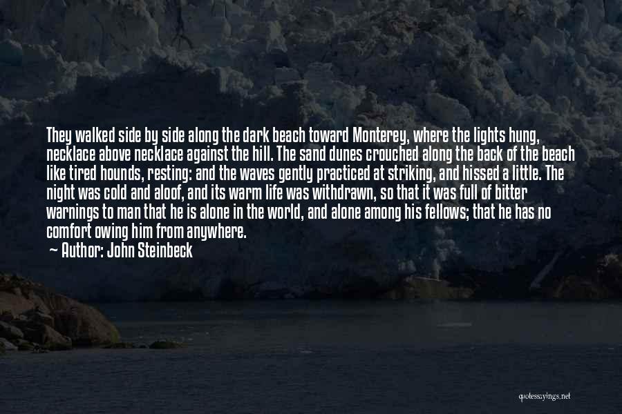Beach Waves Quotes By John Steinbeck
