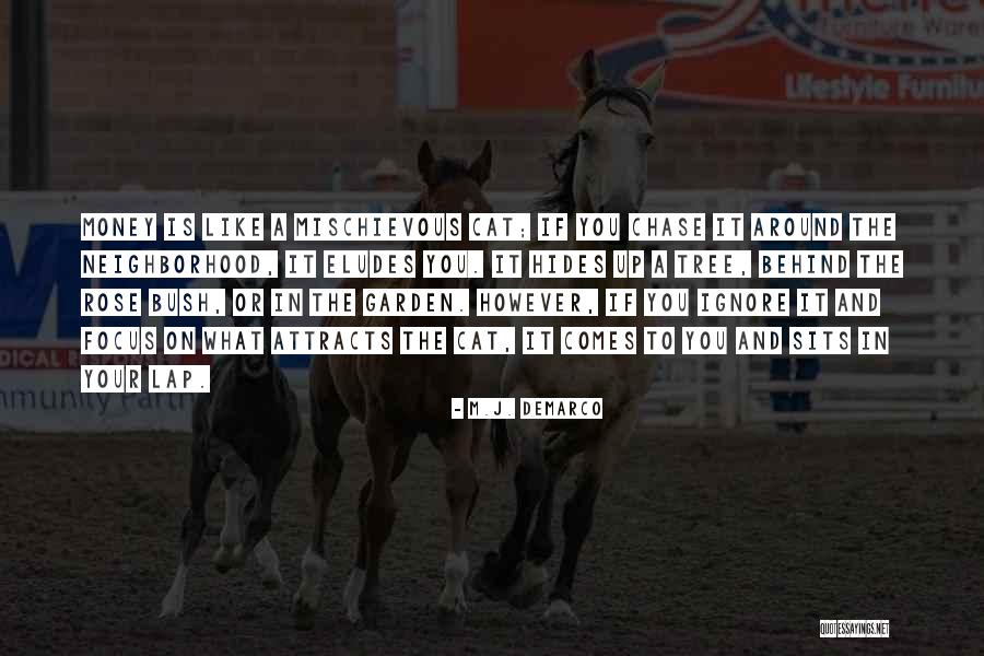 Beachcomber Quotes By M.J. DeMarco Beachcomber Quotes By M.J. DeMarco