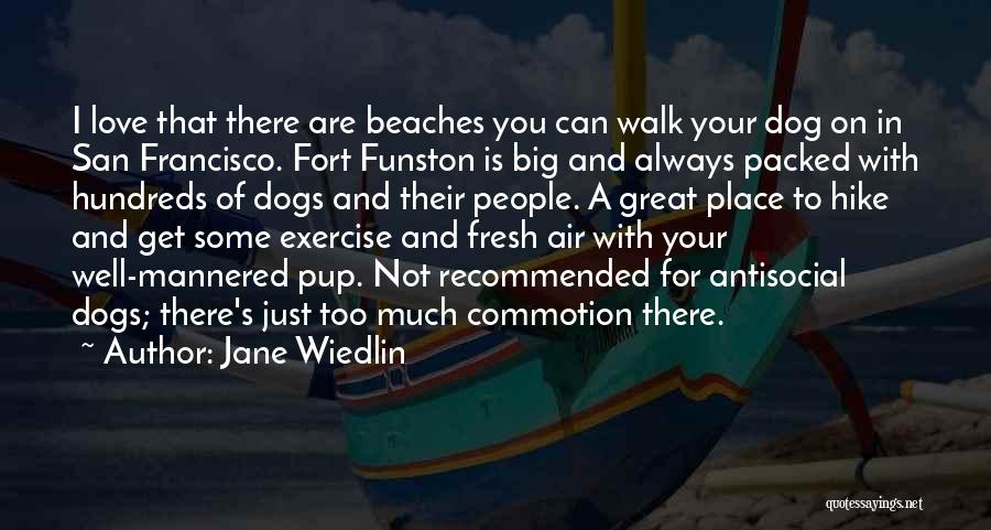 Beaches And Love Quotes By Jane Wiedlin