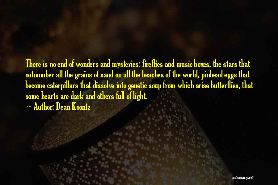 Beaches And Sand Quotes By Dean Koontz