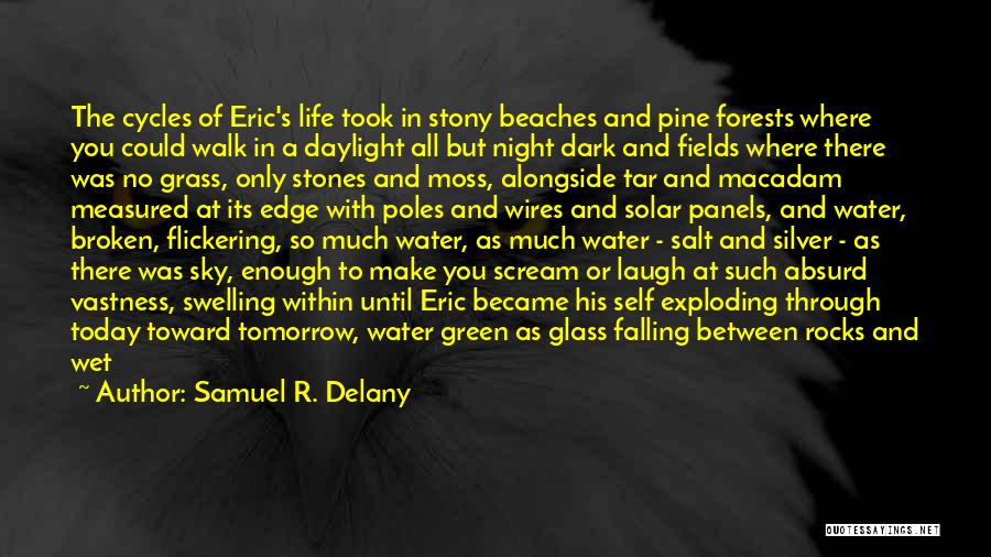 Beaches At Night Quotes By Samuel R. Delany