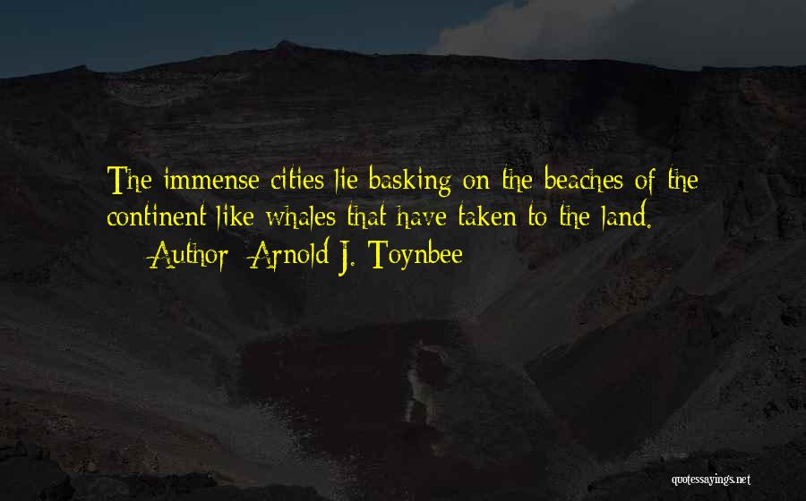 Beaches Quotes By Arnold J. Toynbee