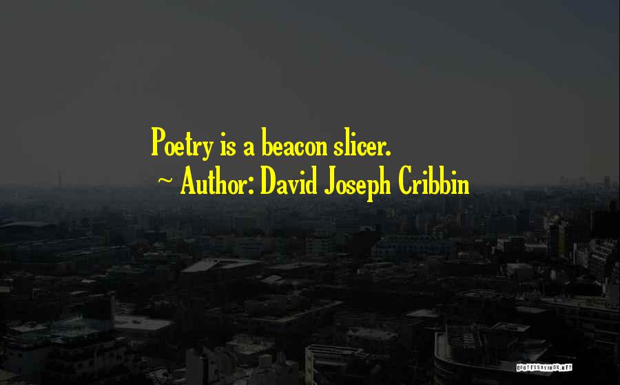 Beacon Quotes By David Joseph Cribbin