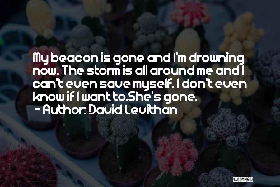 Beacon Quotes By David Levithan