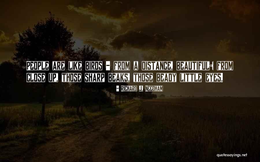 Beady Eyes Quotes By Richard J. Needham Beady Eyes Quotes By Richard J. Needham