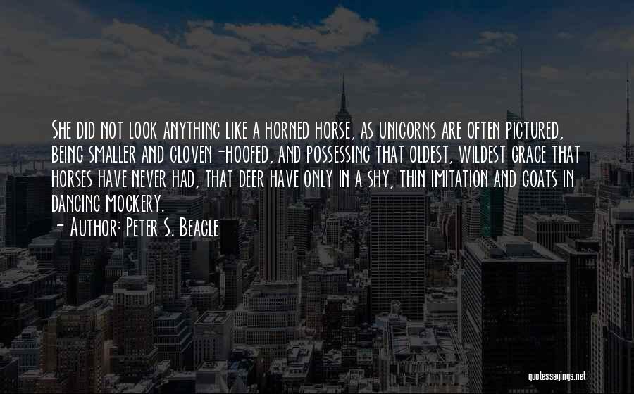 Beagle Quotes By Peter S. Beagle