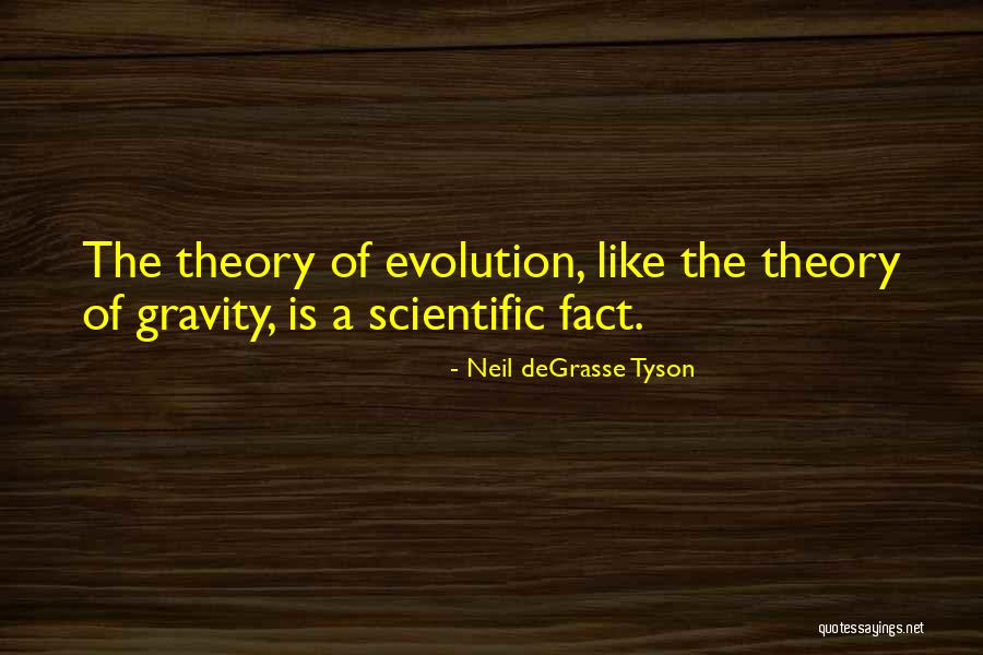 Beahm Designs Quotes By Neil DeGrasse Tyson Beahm Designs Quotes By Neil DeGrasse Tyson
