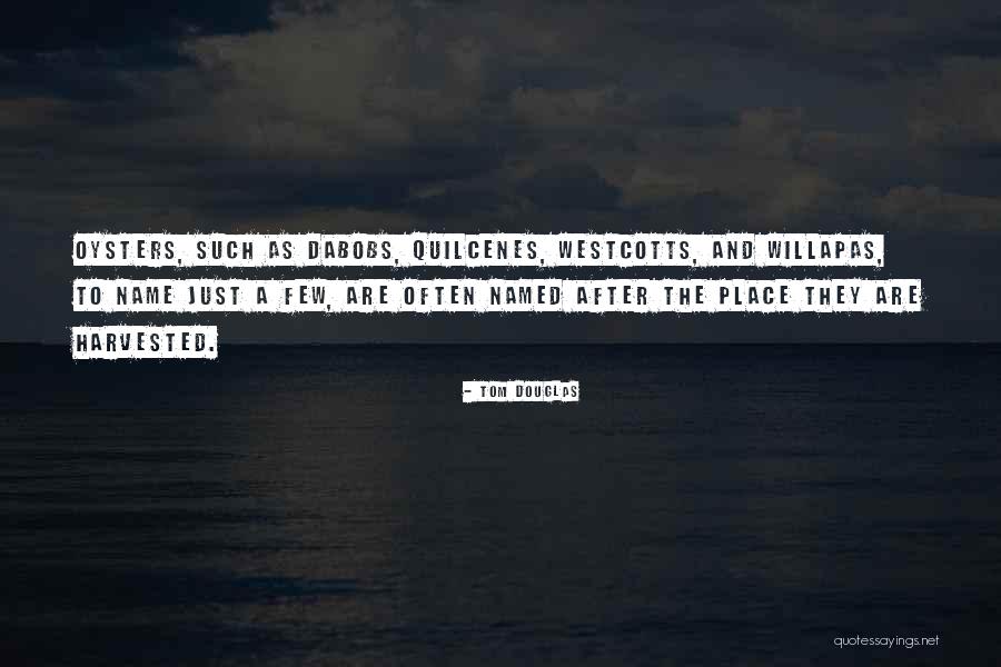Beakless Parrot Quotes By Tom Douglas Beakless Parrot Quotes By Tom Douglas