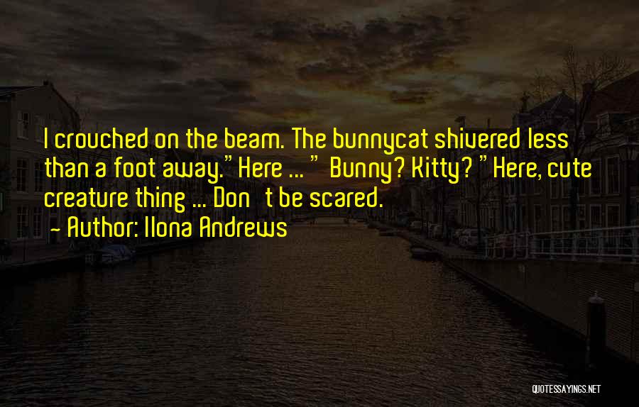 Beam Quotes By Ilona Andrews