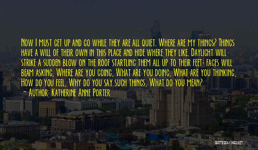 Beam Quotes By Katherine Anne Porter