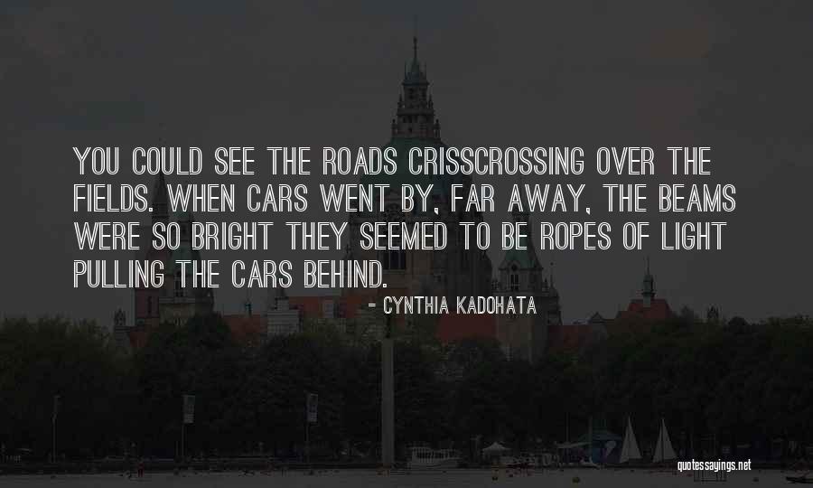 Beams Quotes By Cynthia Kadohata Beams Quotes By Cynthia Kadohata