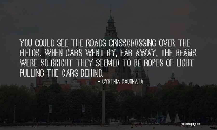 Beams Quotes By Cynthia Kadohata