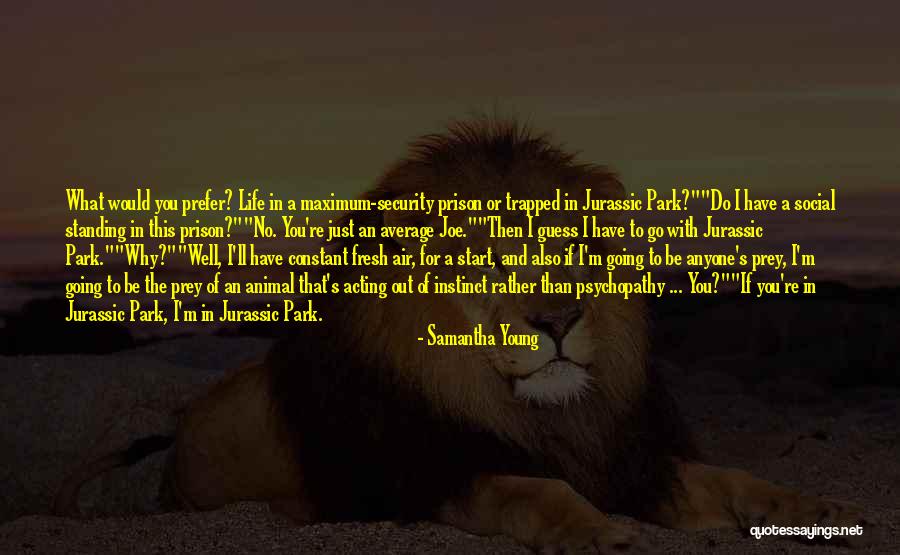 Bean Chicago Quotes By Samantha Young Bean Chicago Quotes By Samantha Young