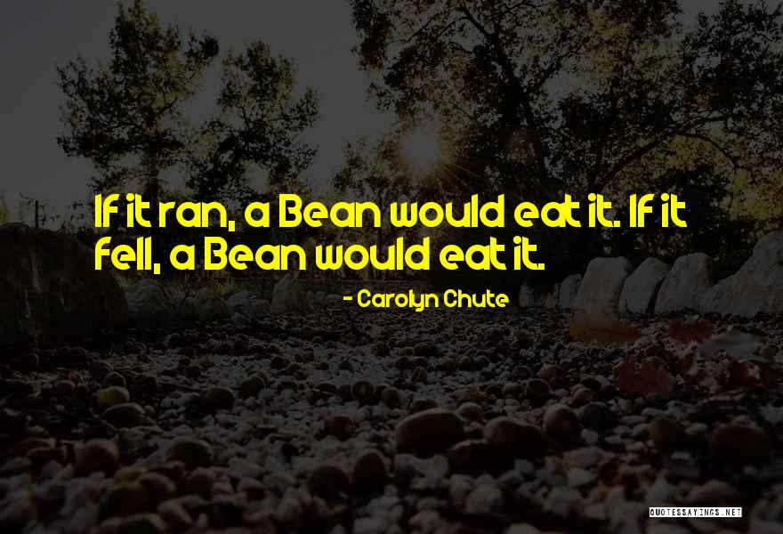 Bean Quotes By Carolyn Chute Bean Quotes By Carolyn Chute