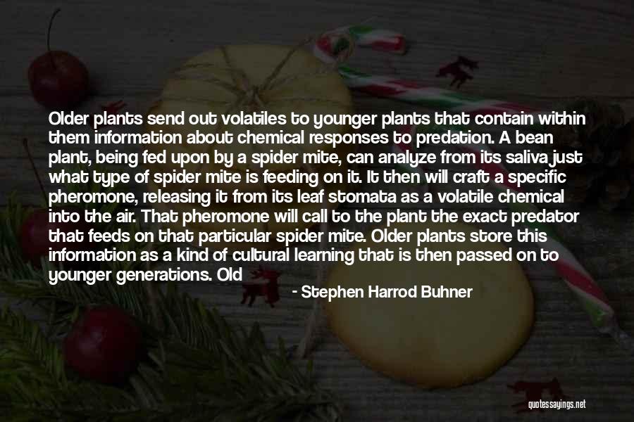 Bean Quotes By Stephen Harrod Buhner Bean Quotes By Stephen Harrod Buhner