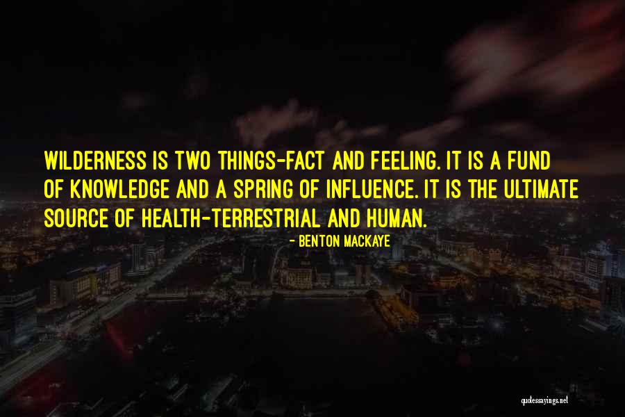 Beanball Target Quotes By Benton MacKaye Beanball Target Quotes By Benton MacKaye