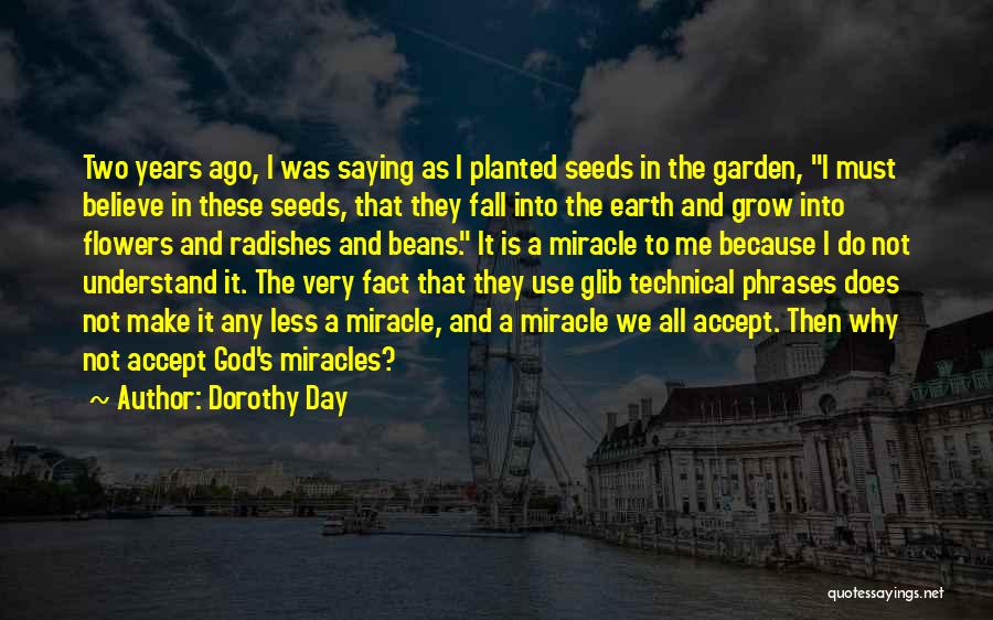 Beans Quotes By Dorothy Day