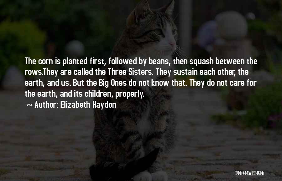 Beans Quotes By Elizabeth Haydon