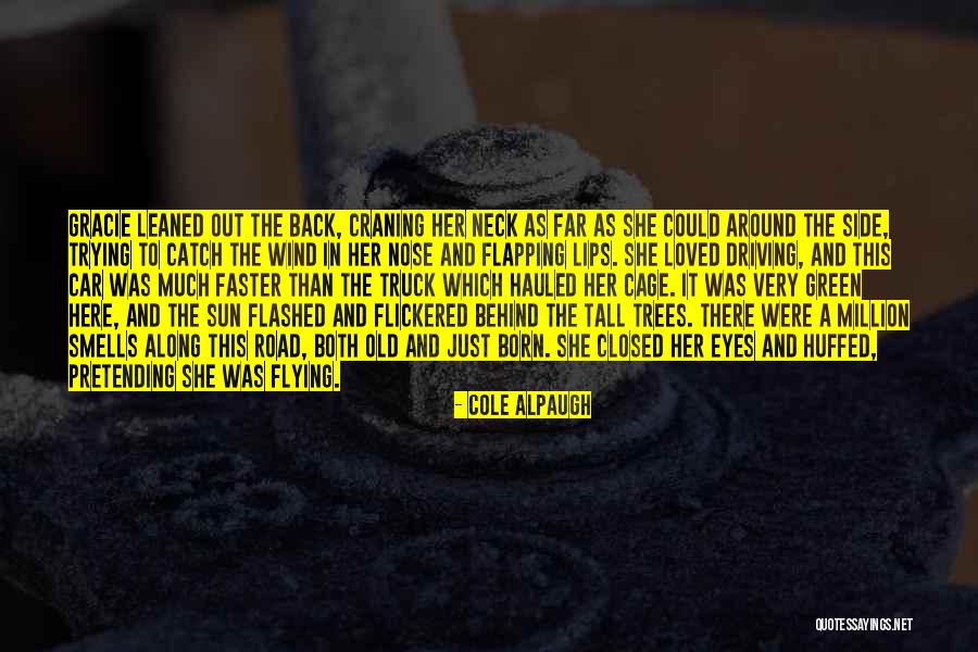 Bear Behind Quotes By Cole Alpaugh Bear Behind Quotes By Cole Alpaugh