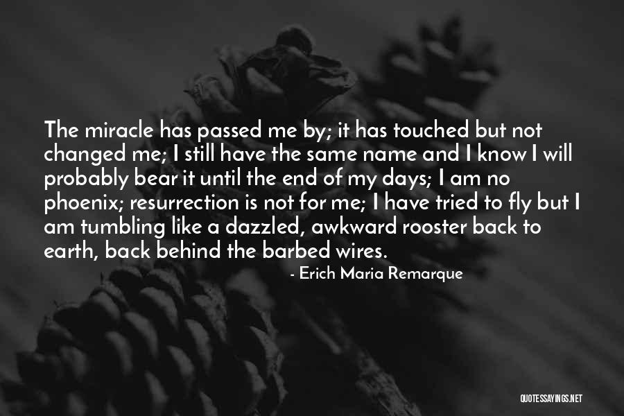Bear Behind Quotes By Erich Maria Remarque Bear Behind Quotes By Erich Maria Remarque