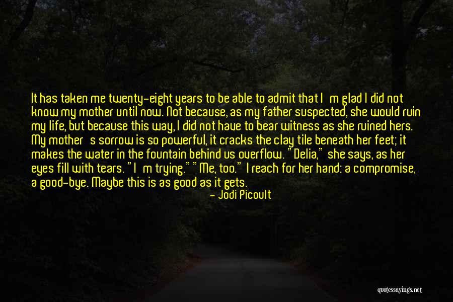 Bear Behind Quotes By Jodi Picoult Bear Behind Quotes By Jodi Picoult