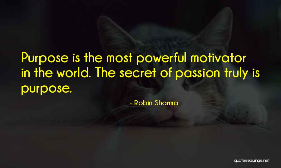 Bear Crawls Before And After Quotes By Robin Sharma Bear Crawls Before And After Quotes By Robin Sharma