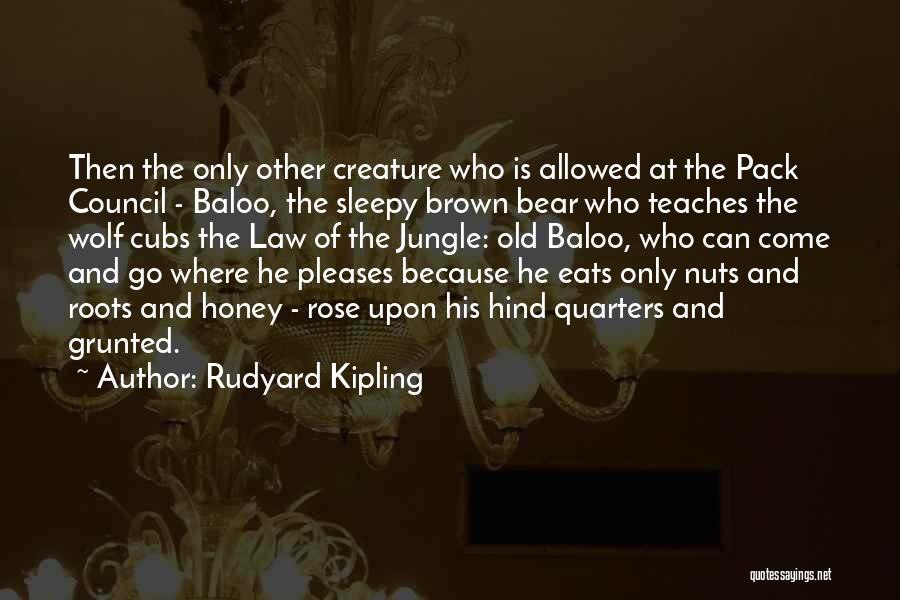 Bear Cubs Quotes By Rudyard Kipling