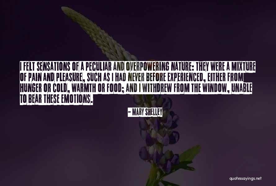 Bear Pain Quotes By Mary Shelley Bear Pain Quotes By Mary Shelley