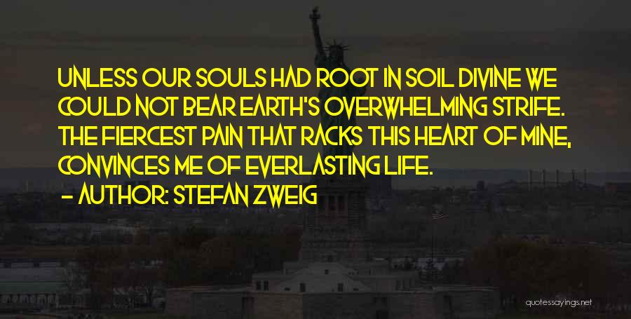 Bear Pain Quotes By Stefan Zweig
