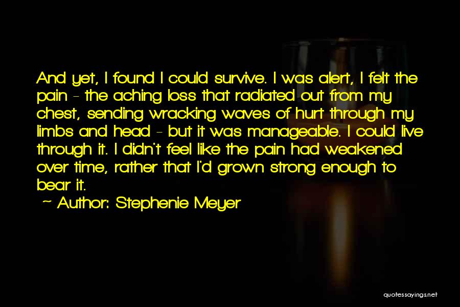 Bear Pain Quotes By Stephenie Meyer