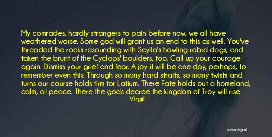 Bear Pain Quotes By Virgil Bear Pain Quotes By Virgil