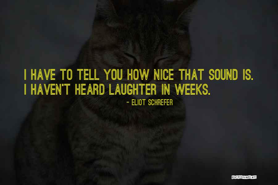 Bearcats Animal Quotes By Eliot Schrefer Bearcats Animal Quotes By Eliot Schrefer