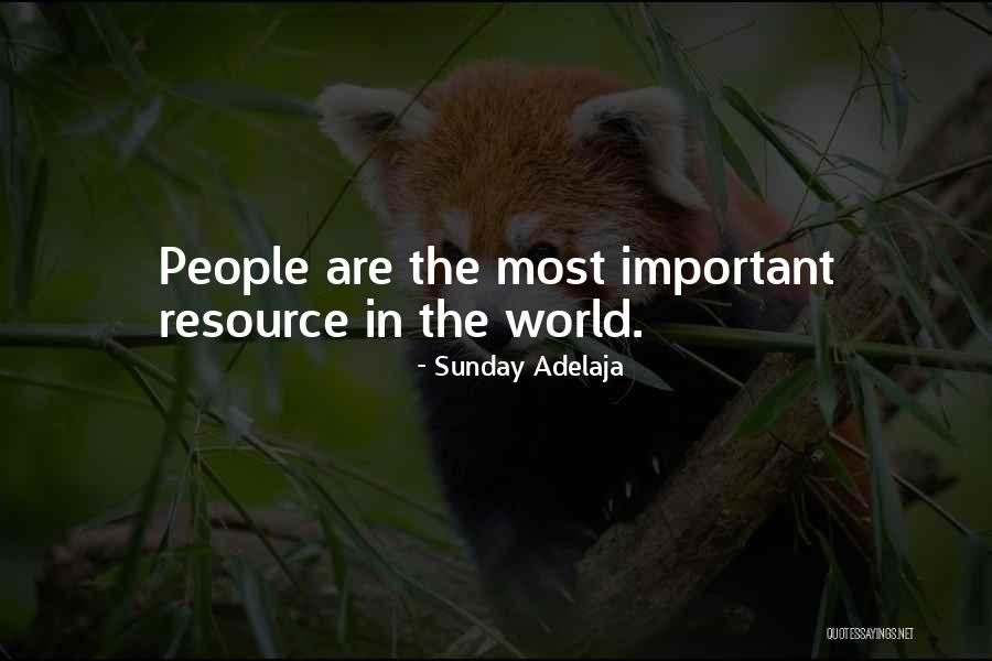 Bearcats Animal Quotes By Sunday Adelaja Bearcats Animal Quotes By Sunday Adelaja