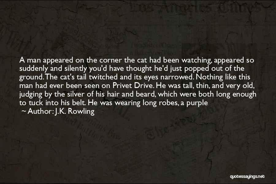 Beard Man Quotes By J.K. Rowling