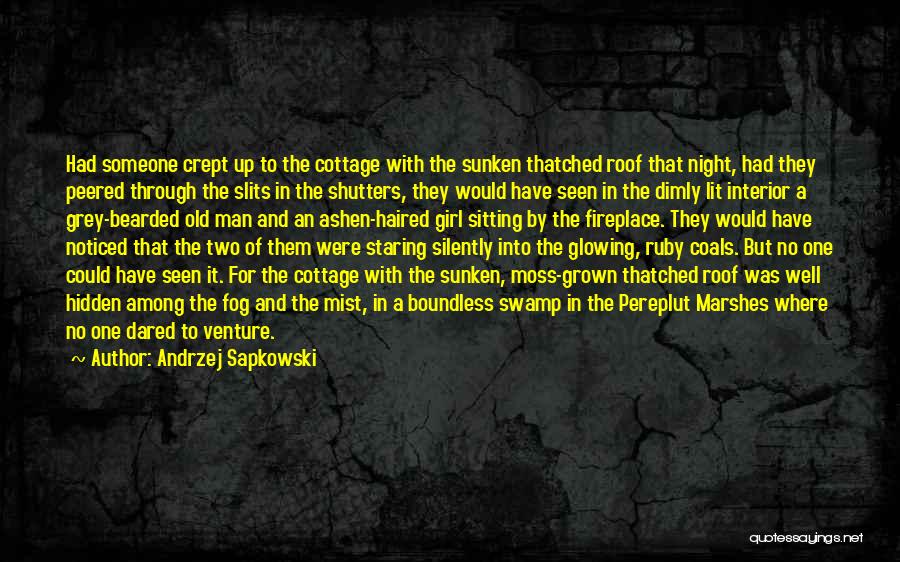 Bearded Quotes By Andrzej Sapkowski