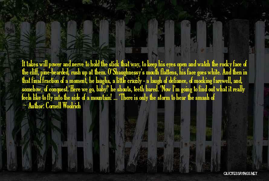 Bearded Quotes By Cornell Woolrich