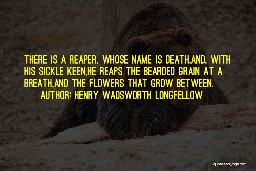 Bearded Quotes By Henry Wadsworth Longfellow