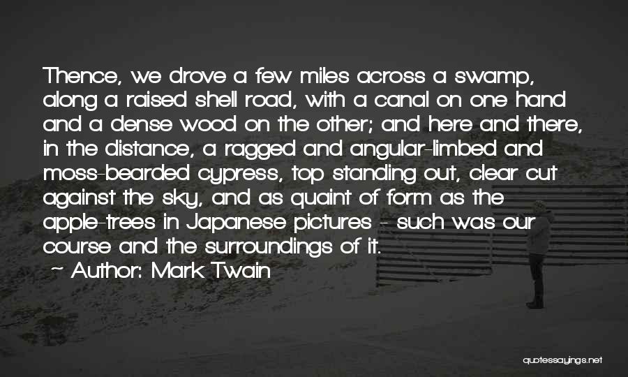 Bearded Quotes By Mark Twain