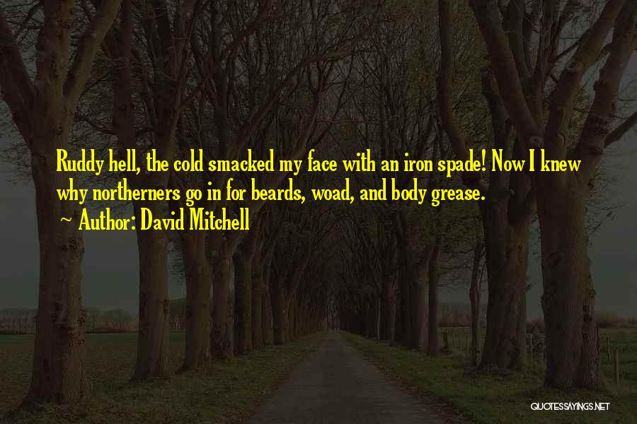 Beards Quotes By David Mitchell