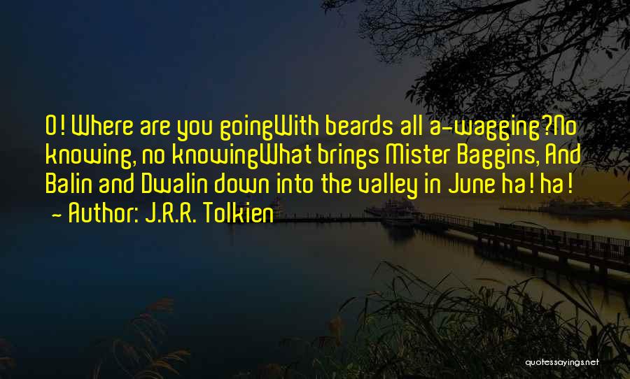 Beards Quotes By J.R.R. Tolkien