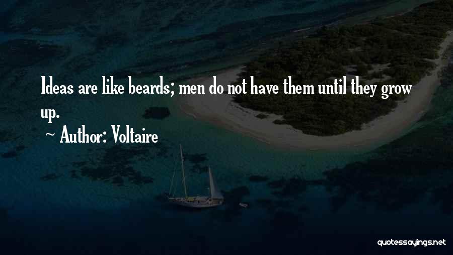 Beards Quotes By Voltaire