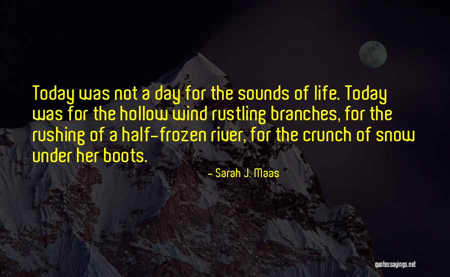 Beardwood Solicitors Quotes By Sarah J. Maas Beardwood Solicitors Quotes By Sarah J. Maas