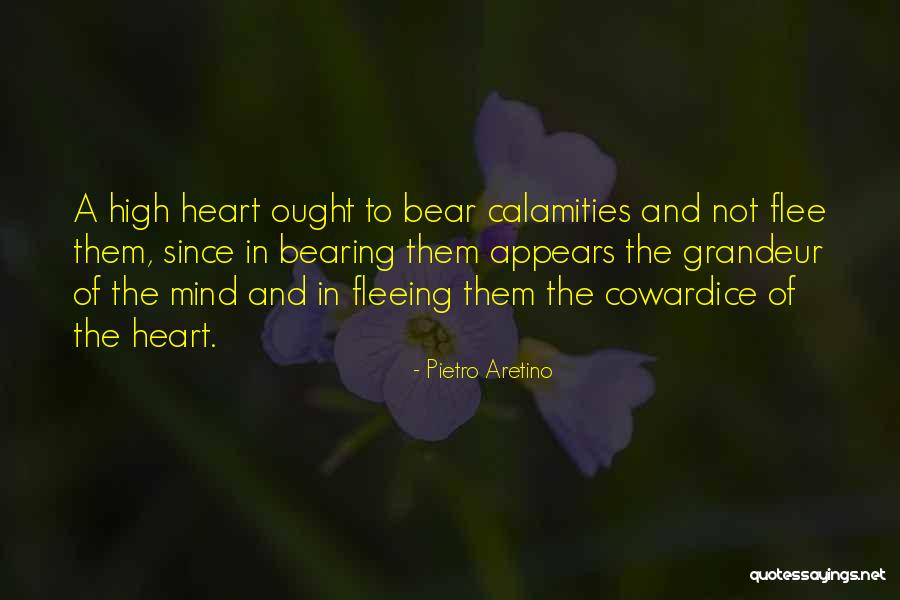 Bearing In Mind Quotes By Pietro Aretino Bearing In Mind Quotes By Pietro Aretino