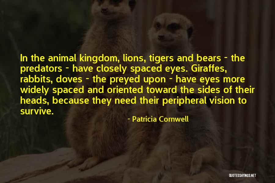 Bears The Animal Quotes By Patricia Cornwell Bears The Animal Quotes By Patricia Cornwell
